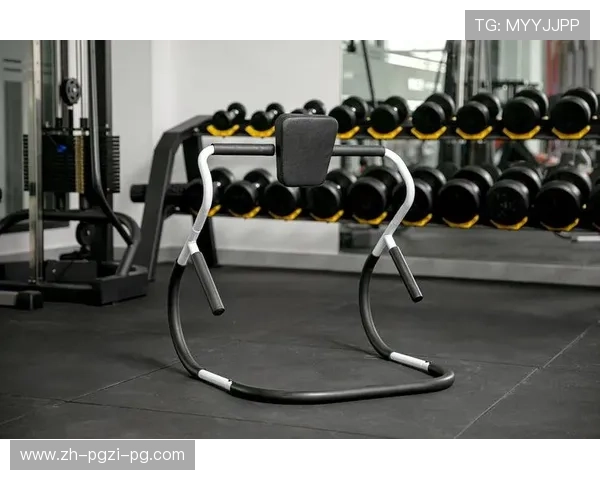 腰部健身器材推荐：专为腰部塑形设计的器材